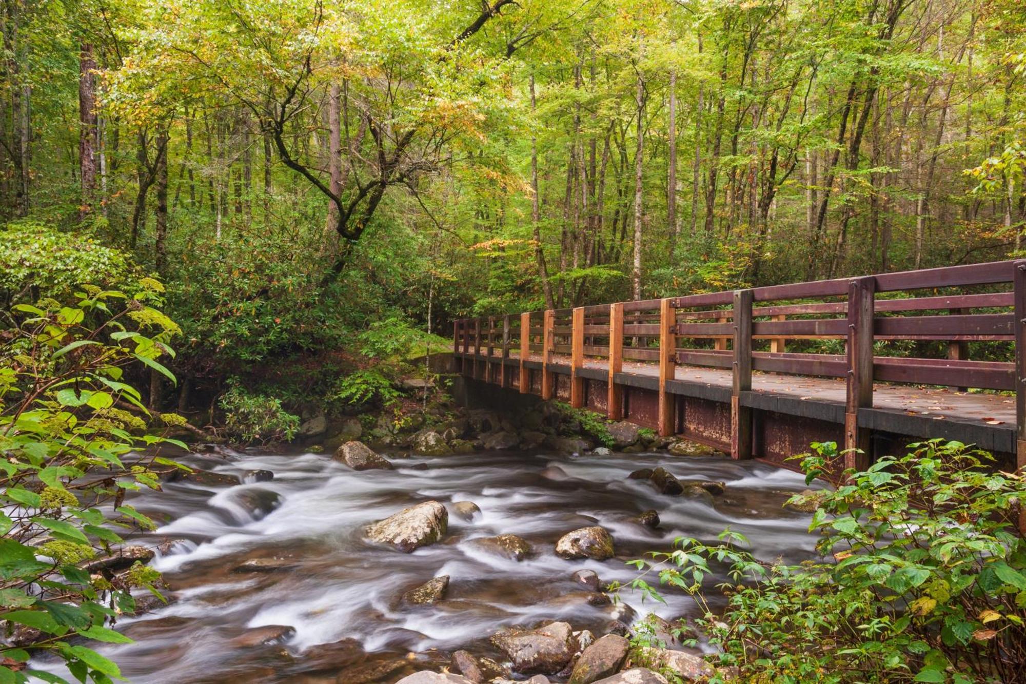 סביירוויל Bear Den, Hot Tub, 1089 Of Free Attraction Tickets For Each Paid Day, Dollywood And More! מראה חיצוני תמונה